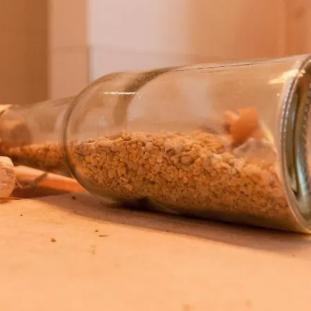 Appartement Kapitaenshaus - Atelier